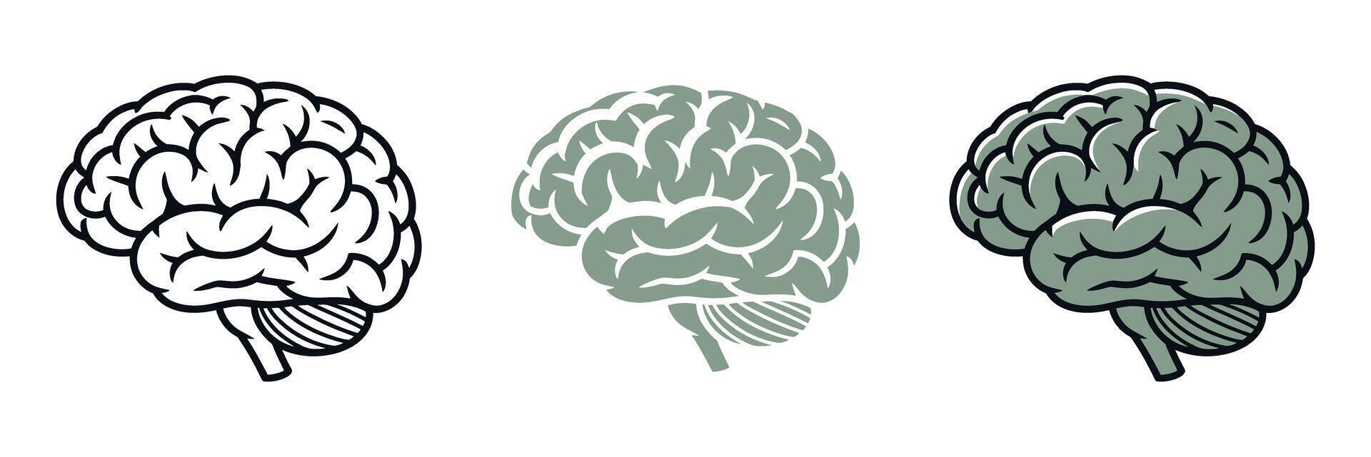 Three Brain Illustrations in Different Styles Outline Solid Color and Shaded with Outline Representing Neurology Intelligence and Cognitive Function on a White Background vector