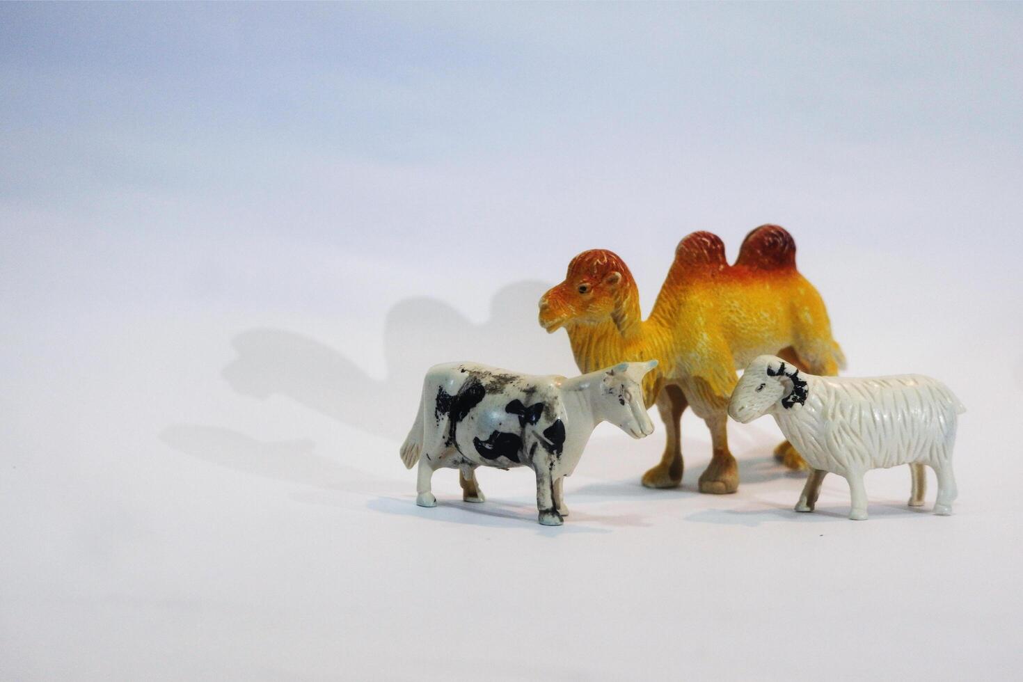 A group of toy animals on a white background photo