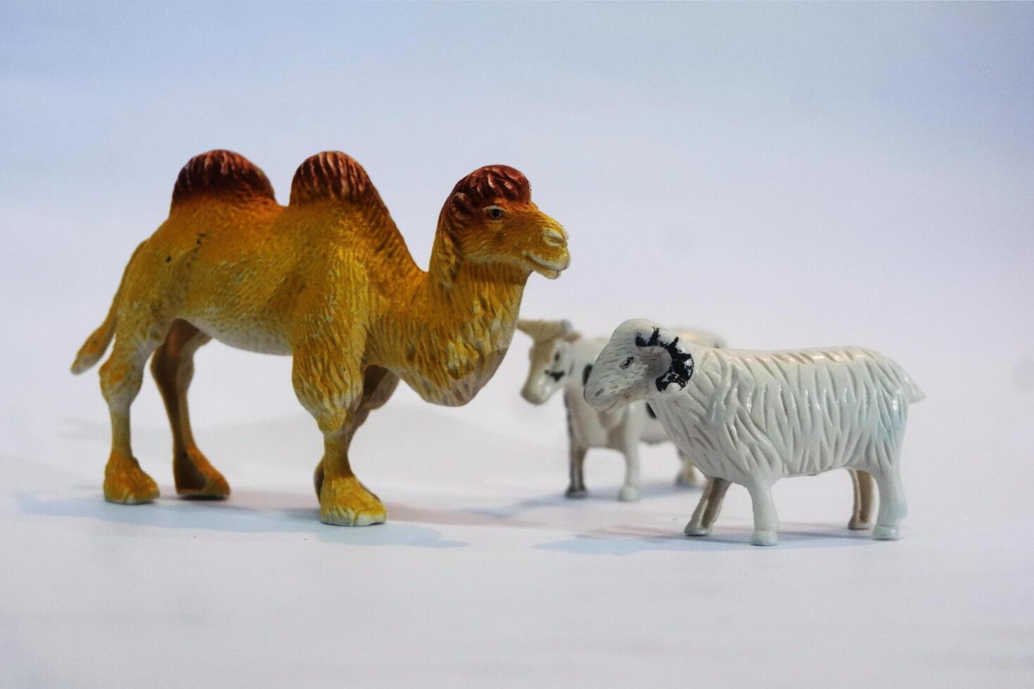A toy camel and sheep on a white background photo