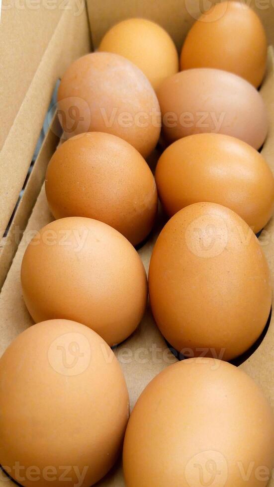 Brown chicken eggs in a cardboard box, fresh and organic, ready for cooking or baking. photo