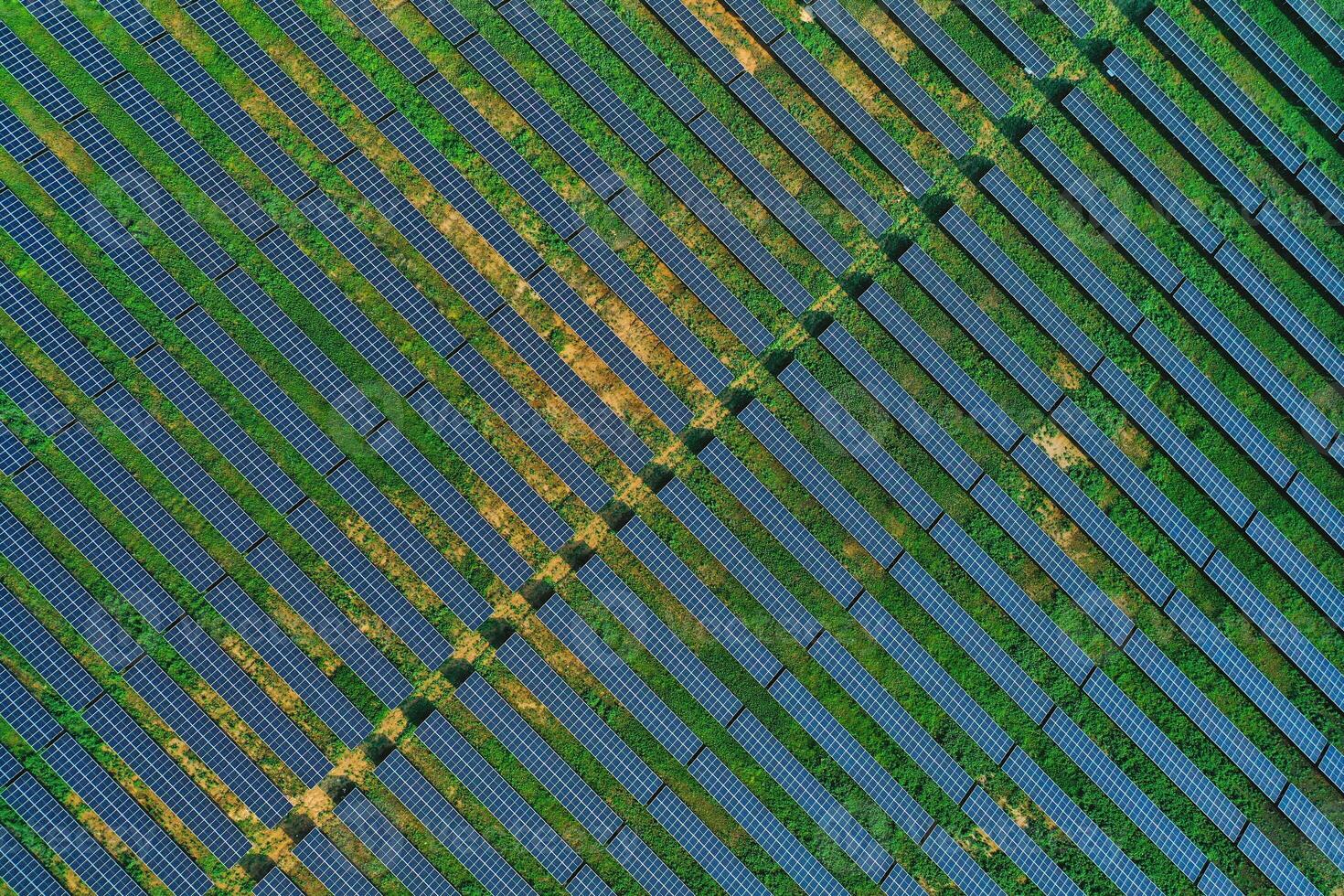 top down view of rows of solar panels installed on a vast field photo