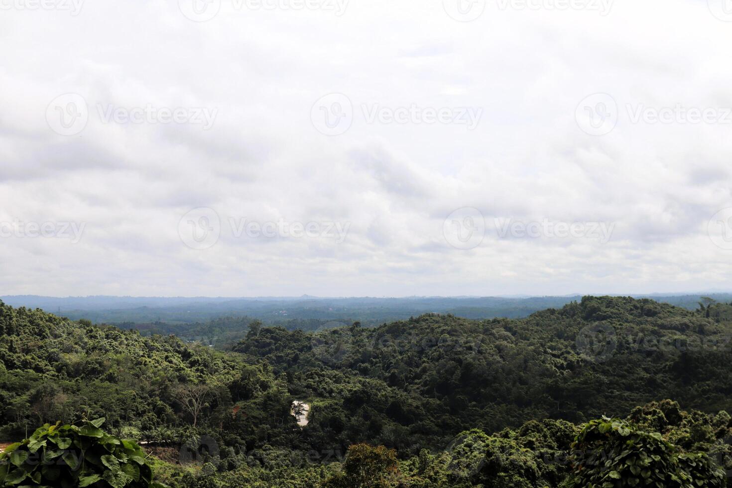 A man standing on a hill overlooking a forest photo