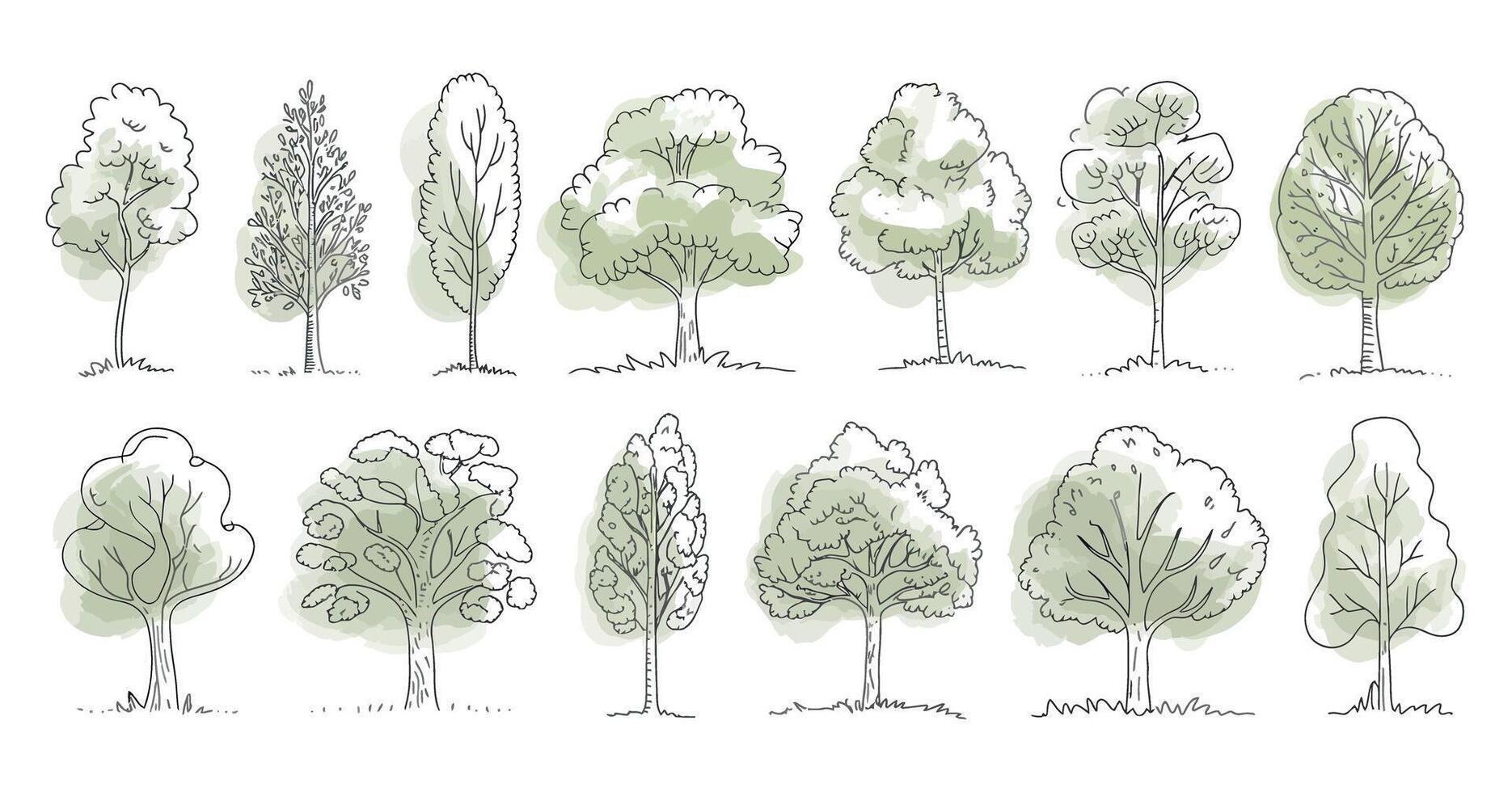 Set of Hand Drawn Trees with Watercolor Spots Different Shapes and Sizes Isolated on White Background Illustration Doodle Style vector