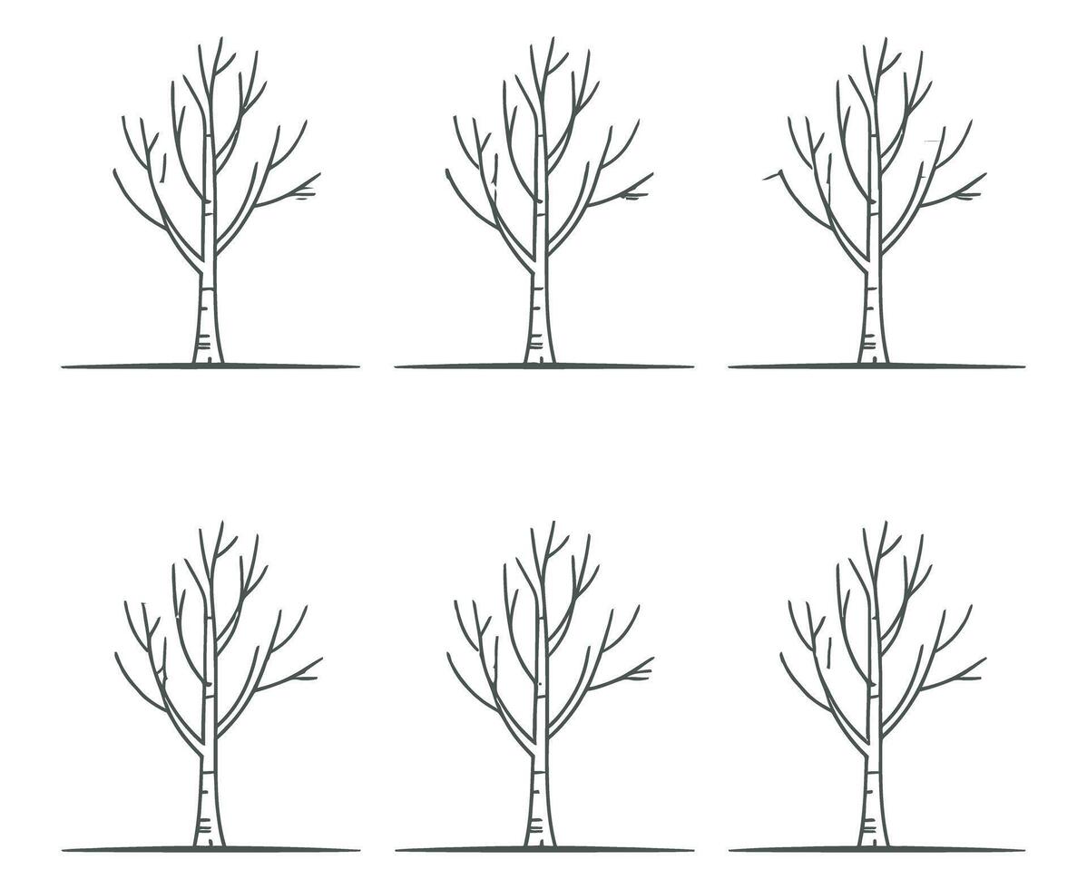 Six Simple Birch Trees in a Row Minimalist Line Art Style Isolated on White Background Illustration for Design and Decoration Projects vector