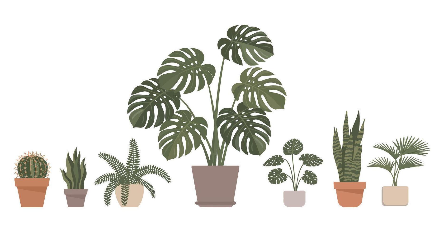 Collection of Potted Houseplants with Different Shapes and Sizes Isolated on White Background Including Monstera Cactus Fern Snake Plant and Fan Palm vector