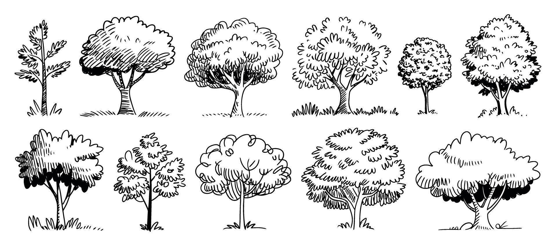 Hand Drawn Tree Illustrations in Black and White A Variety of Tree Shapes and Sizes for Design Projects and Creative Applications vector