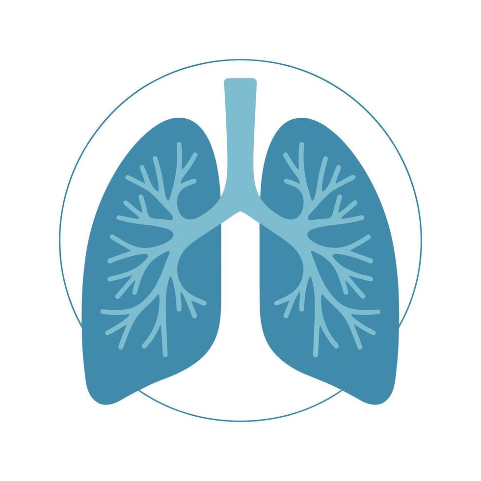 Simple Illustration of Human Lungs in a Circle Representing Respiratory System Health Pulmonary Function and Medical Anatomy with a Clean and Modern Design vector