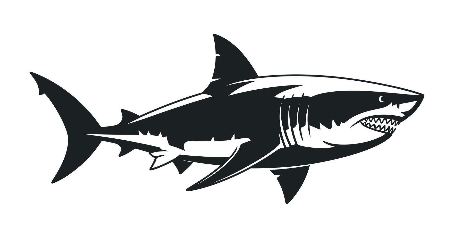 Monochrome Illustration of a Great White Shark with Open Mouth and Sharp Teeth on a White Background vector