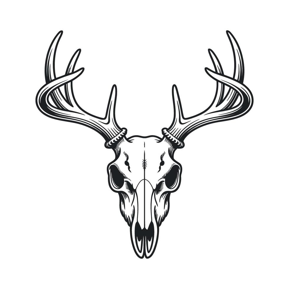 Monochrome Vintage Deer Skull Illustration with Intricate Horns and Detailed Bone Structure on a White Background for Design Elements vector