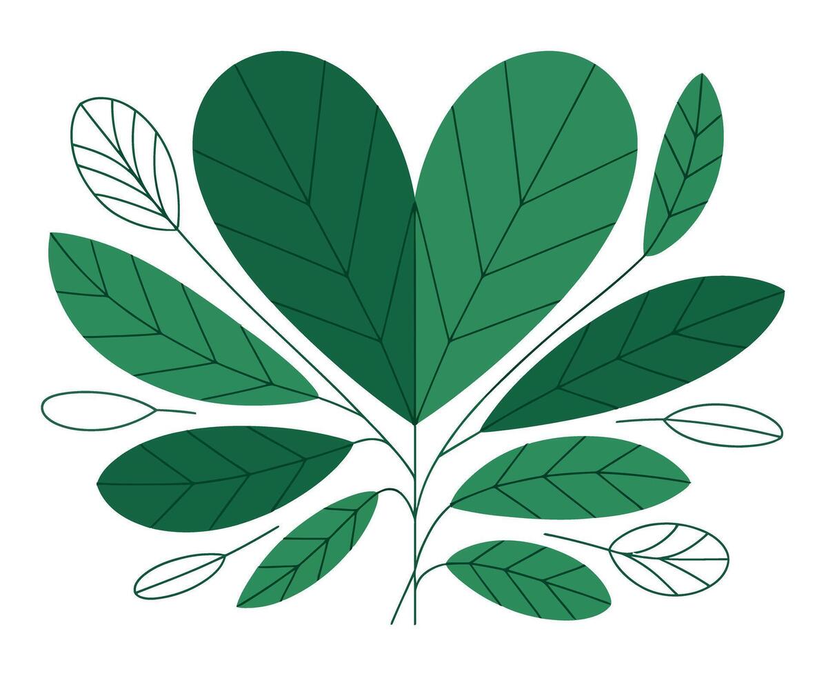 Botanical Illustration of a Green Leafy Plant with Simple Lines and Shapes on a White Background for a Modern Design Aesthetic vector