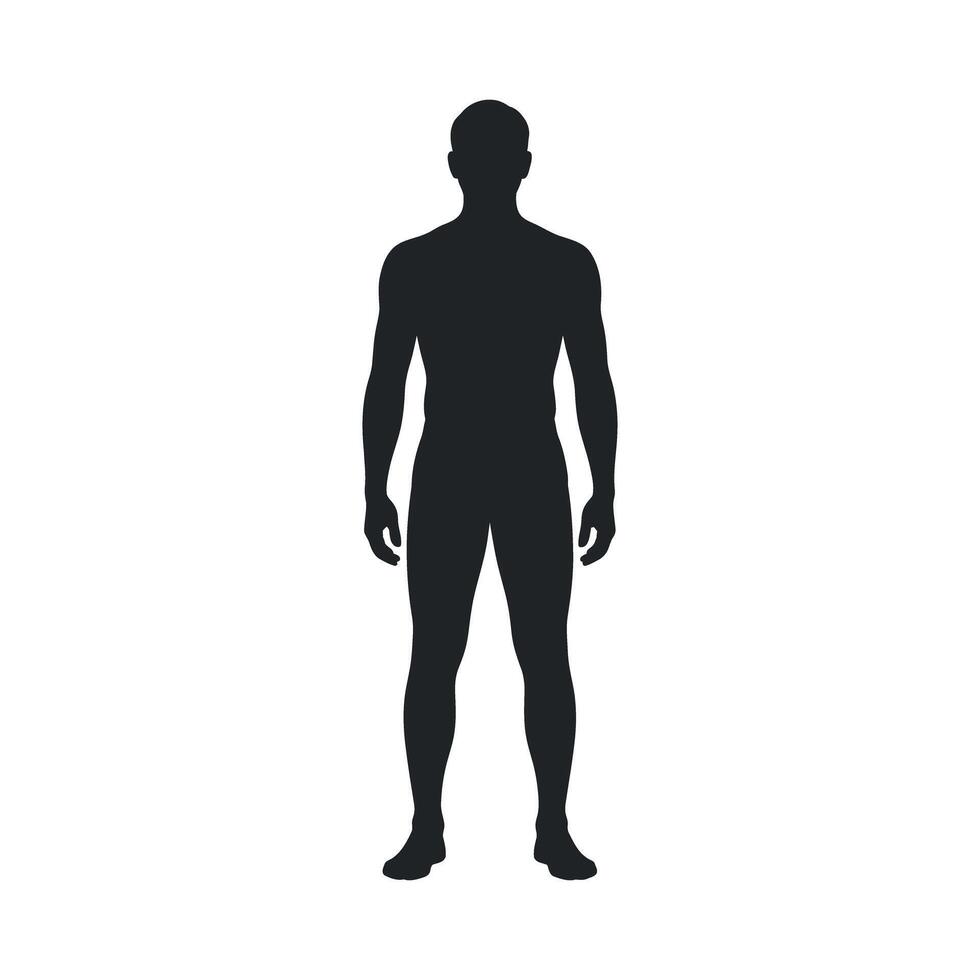 Full Body Silhouette of a Standing Man on a White Background Studio Shot Isolated Illustration vector