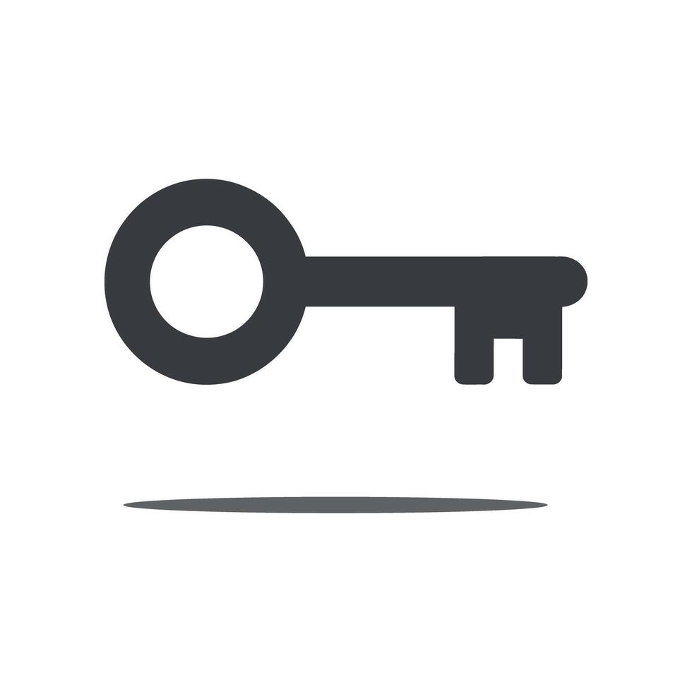 Isolated Dark Gray Key with Shadow on a White Background Symbolizing Security Access and Solutions for Various Applications and Designs with Copy Space vector