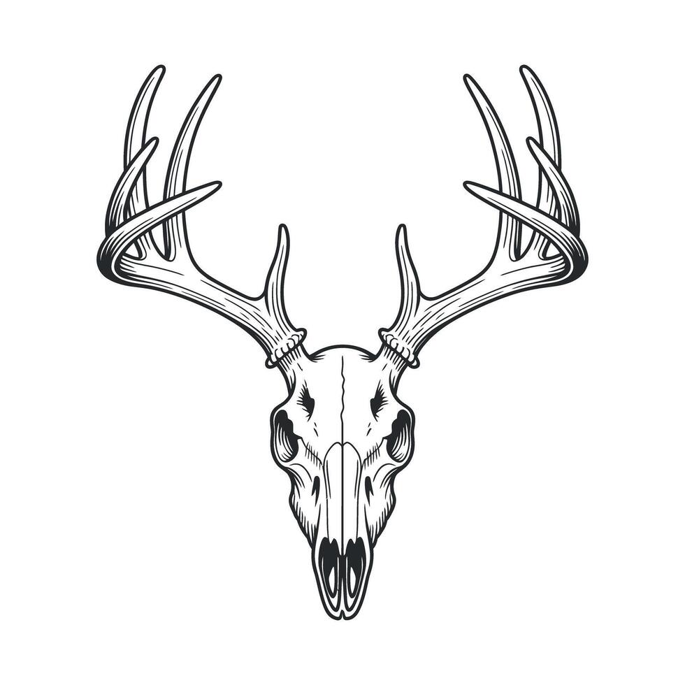 Detailed Deer Skull Illustration with Antlers in Black and White for Tattoo Graphic Design or Print vector
