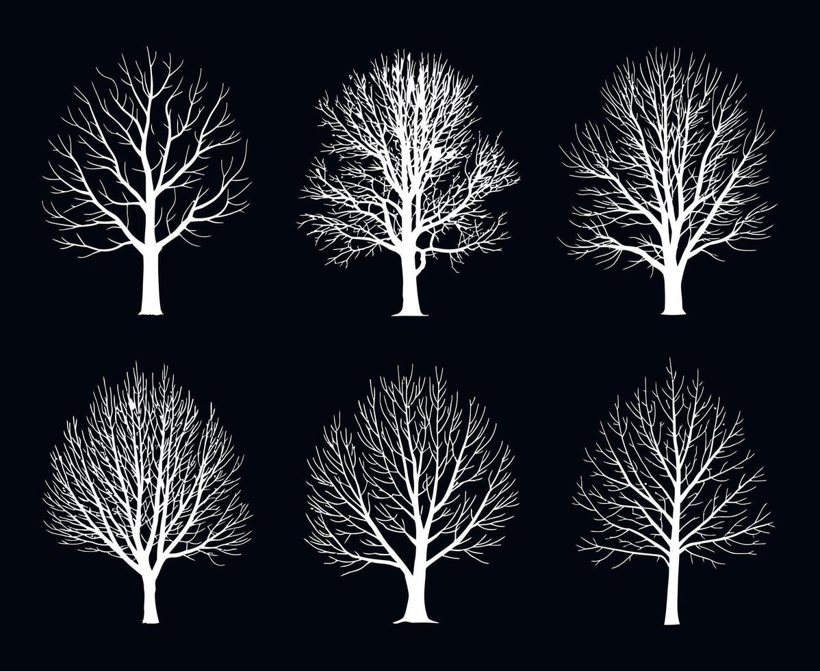 Set of Six White Bare Trees Silhouettes on Black Background Minimalist Illustration Winter Season Nature Graphic Design Element Isolated Simple Clean vector