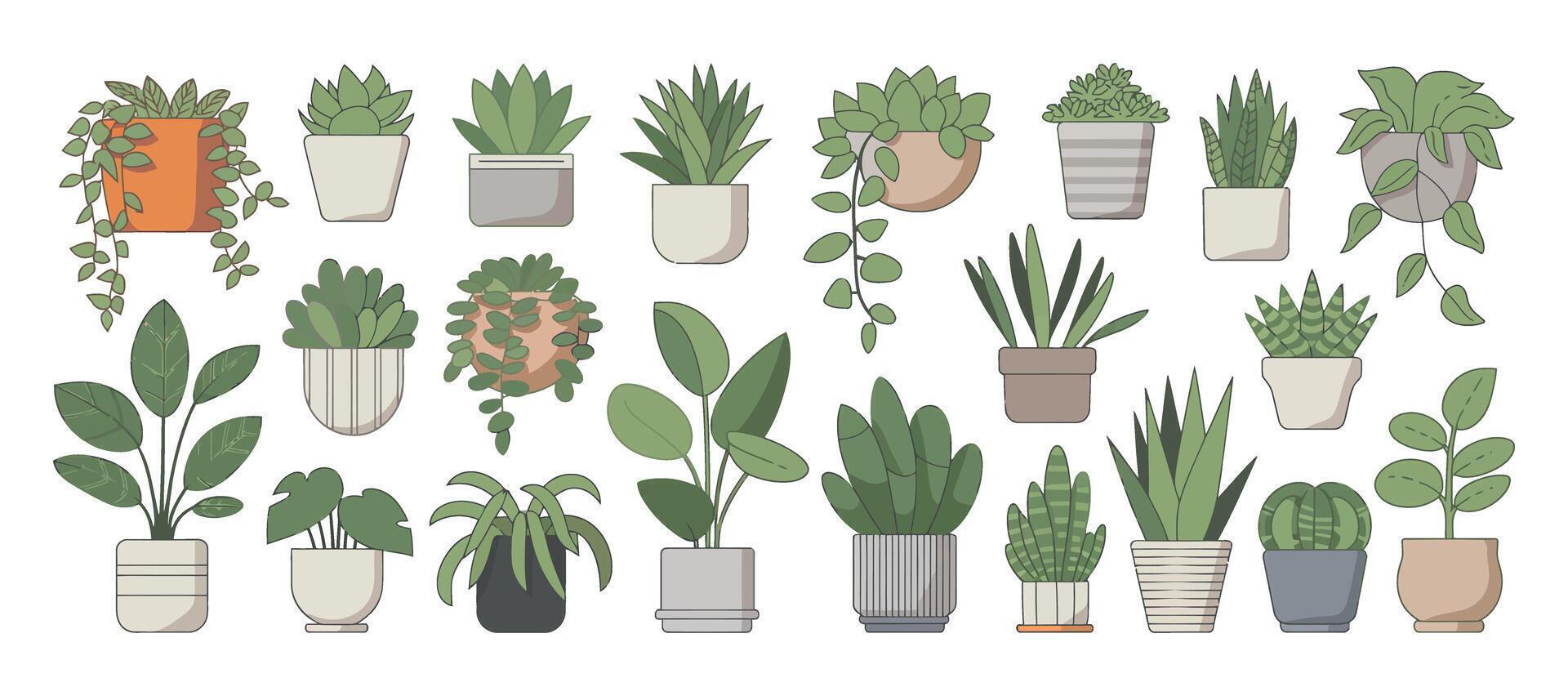 Collection of Various Potted Houseplants Succulents and Hanging Plants in Different Pots Perfect for Adding a Touch of Greenery to Any Design vector