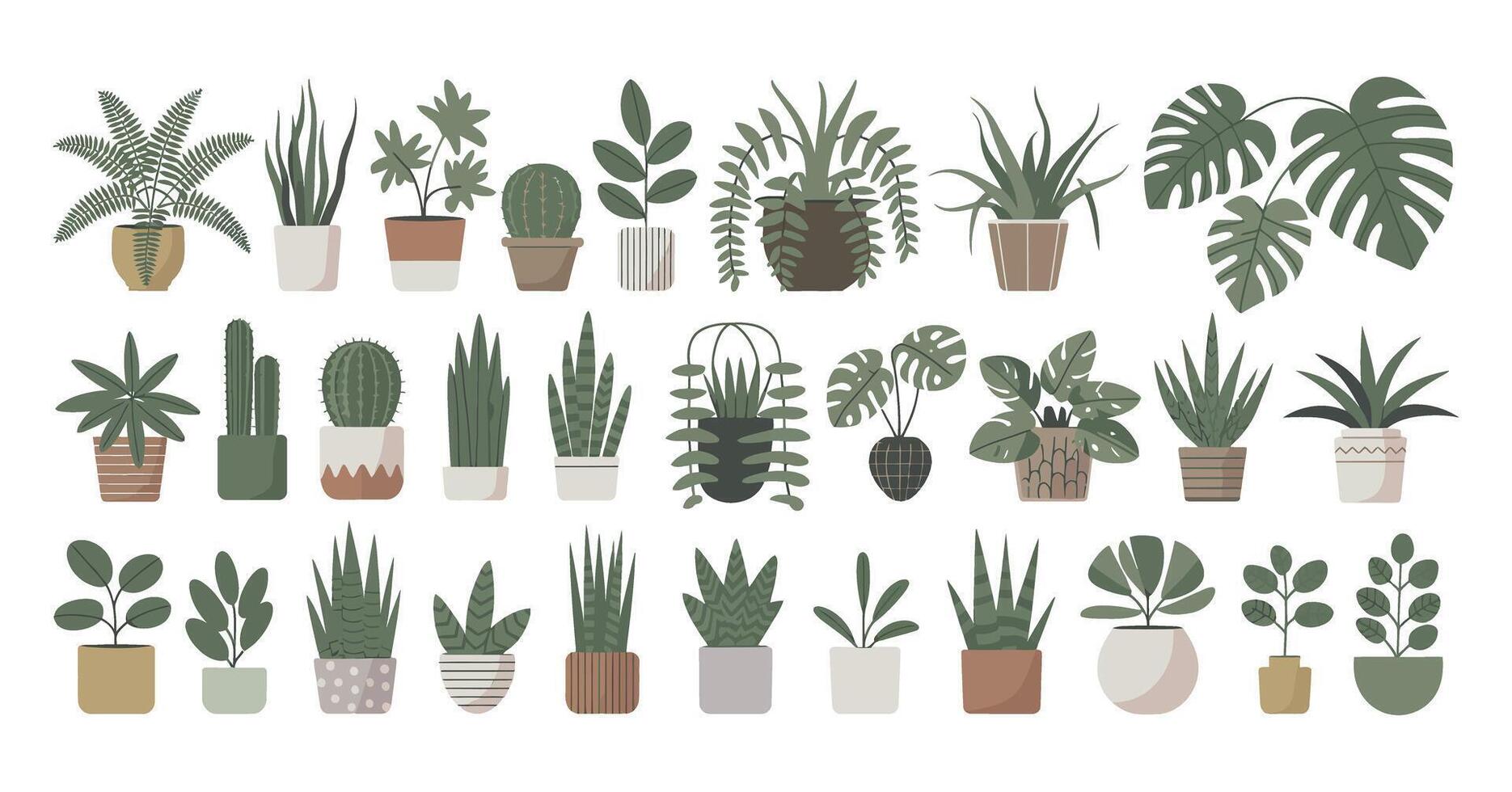 Collection of Different Houseplants in Pots Illustration of Various Indoor Plants Perfect for Decoration Wall Art and Adding a Touch of Greenery vector