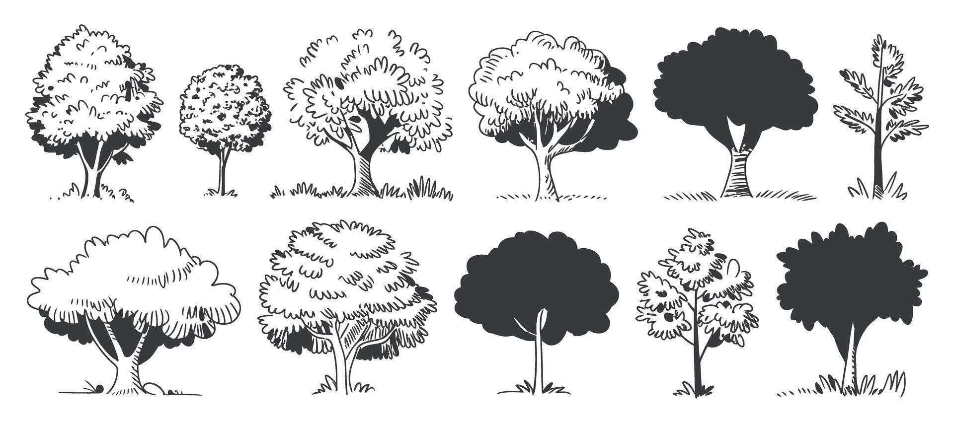 Hand Drawn Tree Set with Different Styles Forest Illustration Nature Elements Isolated on White Background Black and White Minimalist Design vector