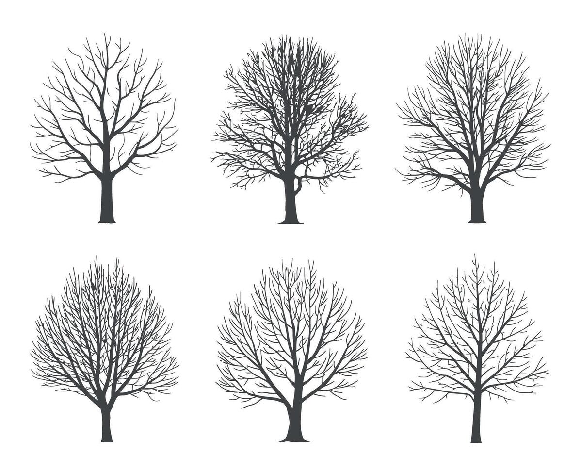 Set of Six Bare Tree Silhouettes on a White Background for Winter or Autumn Designs and Illustrations vector