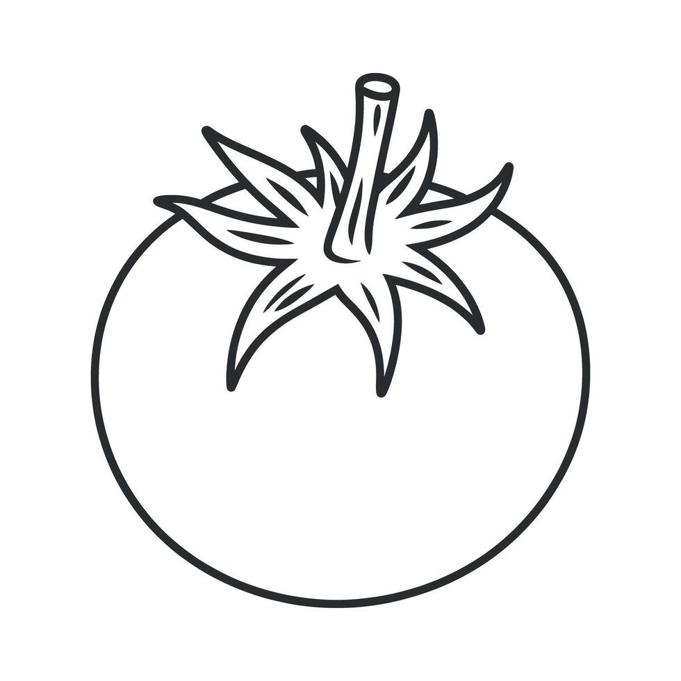 Tomato Icon in Line Art Style Fresh and Organic Vegetable Perfect for Culinary Designs and Healthy Food Illustrations Isolated on White vector
