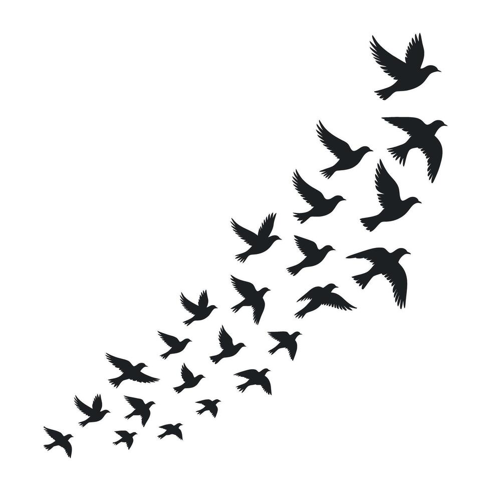 Flock of Birds Flying Upward in a Diagonal Formation Symbolizing Freedom Hope and Transition Isolated on White Background Silhouette Style vector