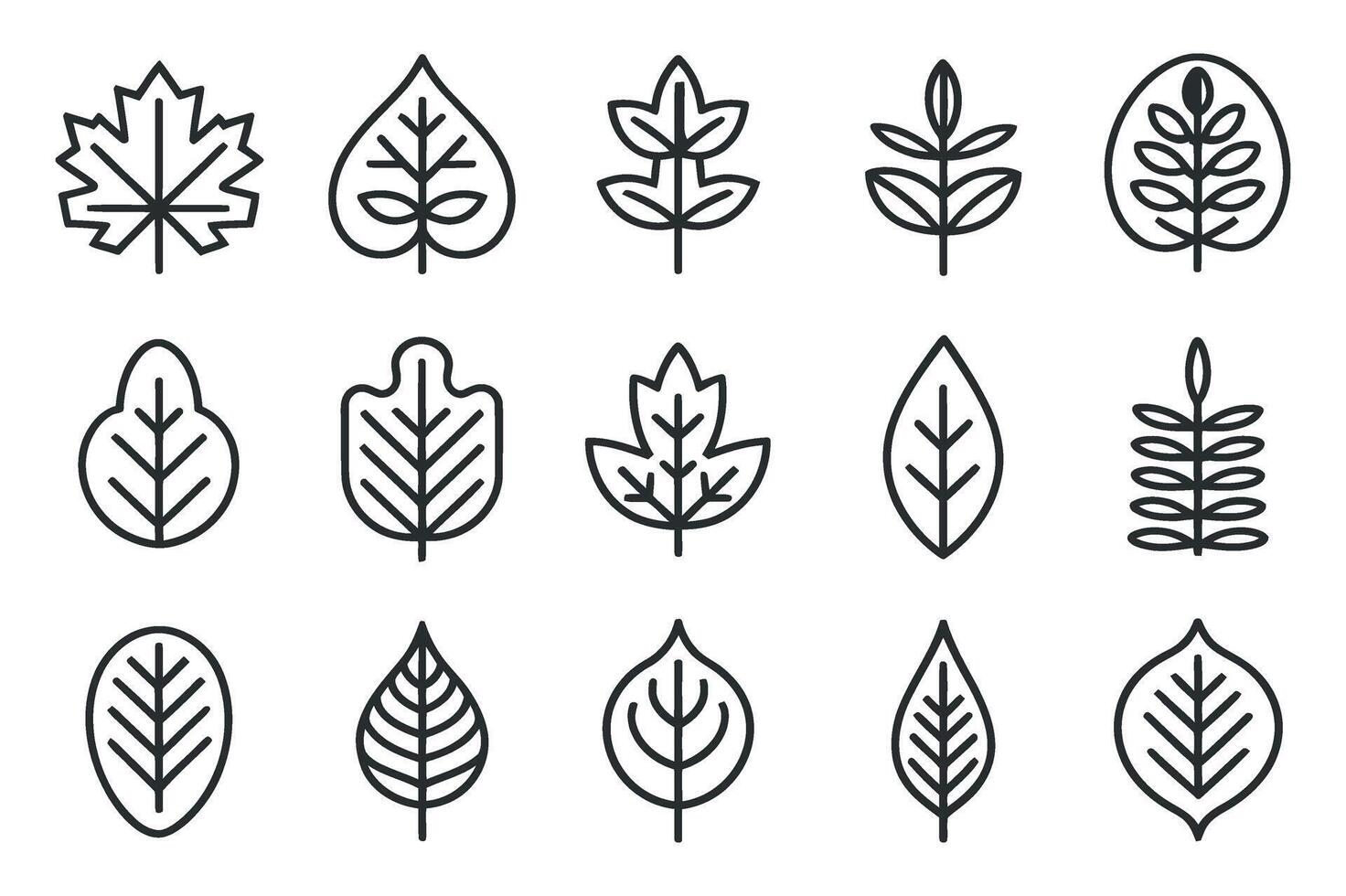 Set of Various Leaf Icons in Outline Style Perfect for Nature Related Designs Botanical Illustrations or Simple and Elegant Graphic Elements for Web vector