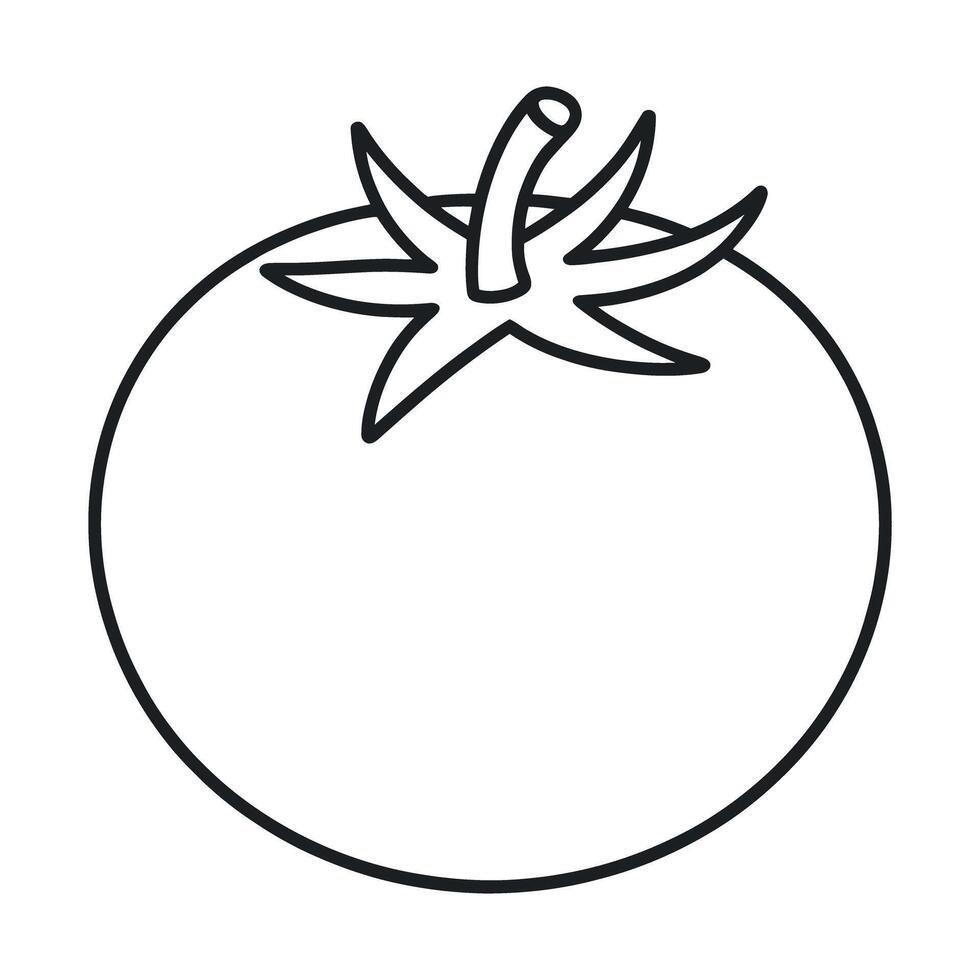 Tomato Outline Illustration Simple Line Art Style Perfect for Coloring Books and Educational Materials Isolated on White vector