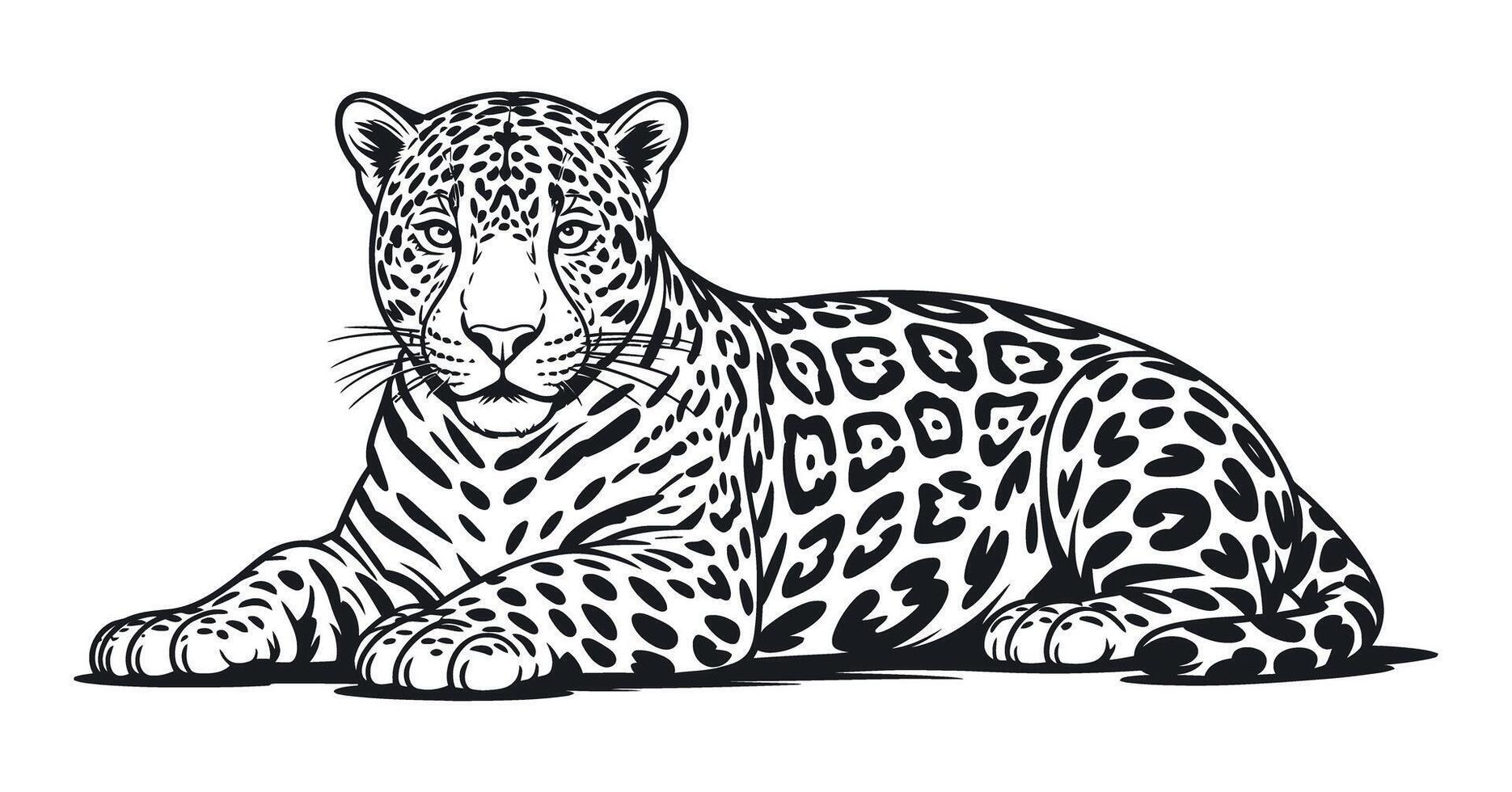 Detailed Black and White Illustration of a Lying Jaguar a Powerful and Graceful Wild Cat with Distinctive Spotted Markings and Intense Gaze vector