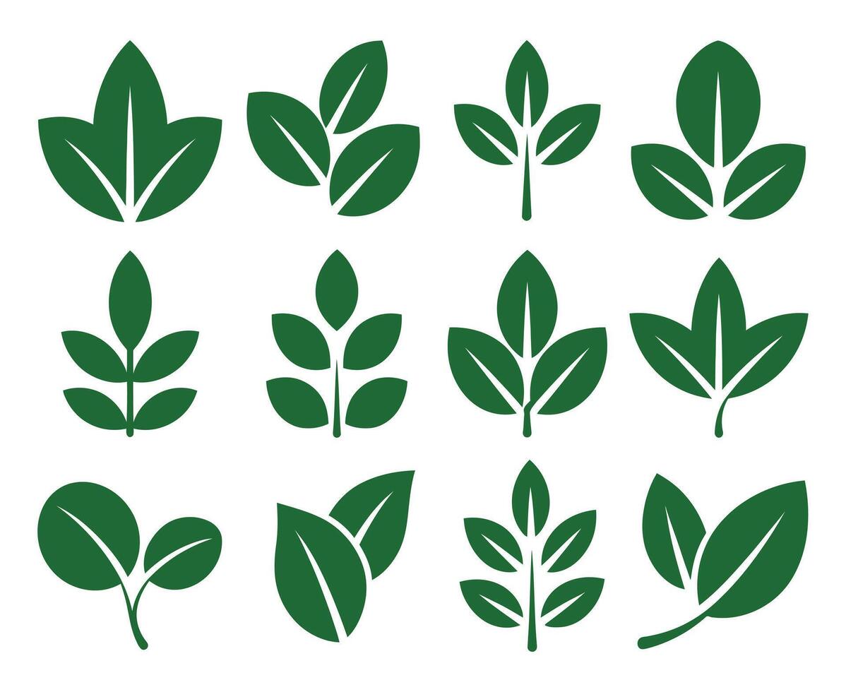 Collection of Twelve Green Leaf Icons on White Background Representing Nature Growth and Sustainability in a Simple Style vector