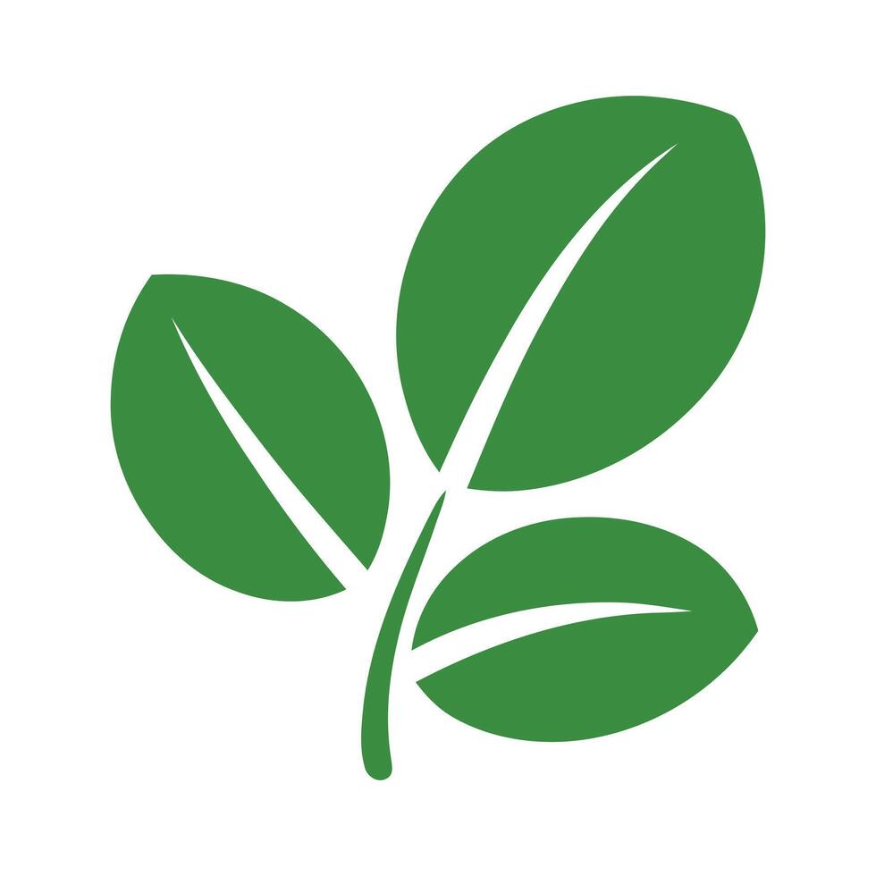 Green Leaf Illustration with Three Leaves and Simple Design on a White Background for Nature vector