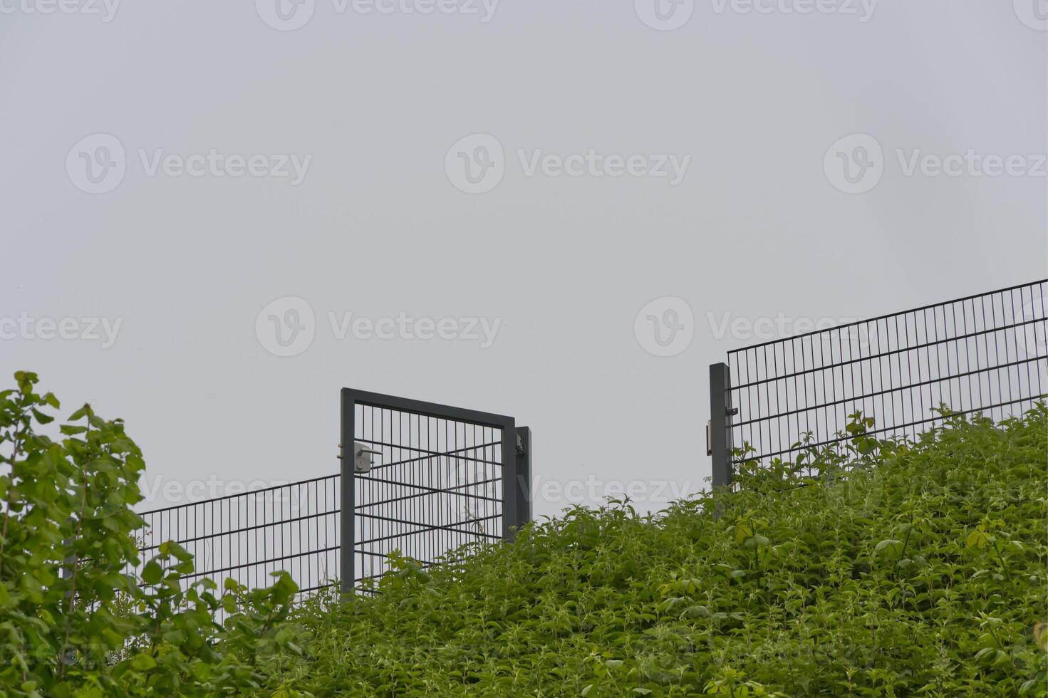 A garden gate stands open between metal bars with green plants against a grey sky as background photo