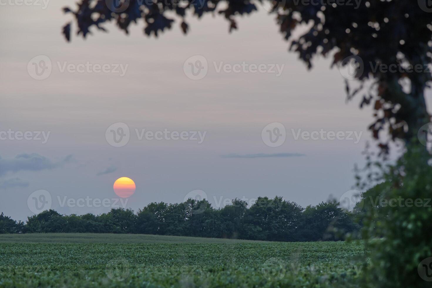 An epic sunset behind clouds over a field in Kollund, Denmark photo