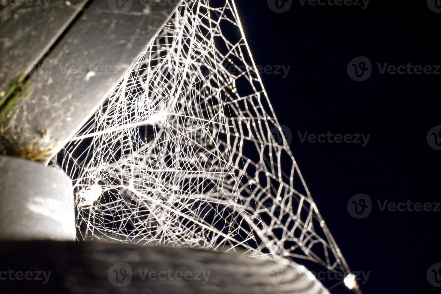 Glistening Spider Web in the Dark photo