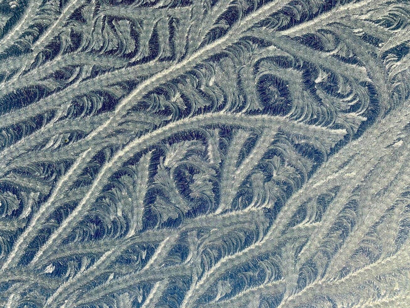 Intricate Textured Patterns in Nature-Inspired Design photo