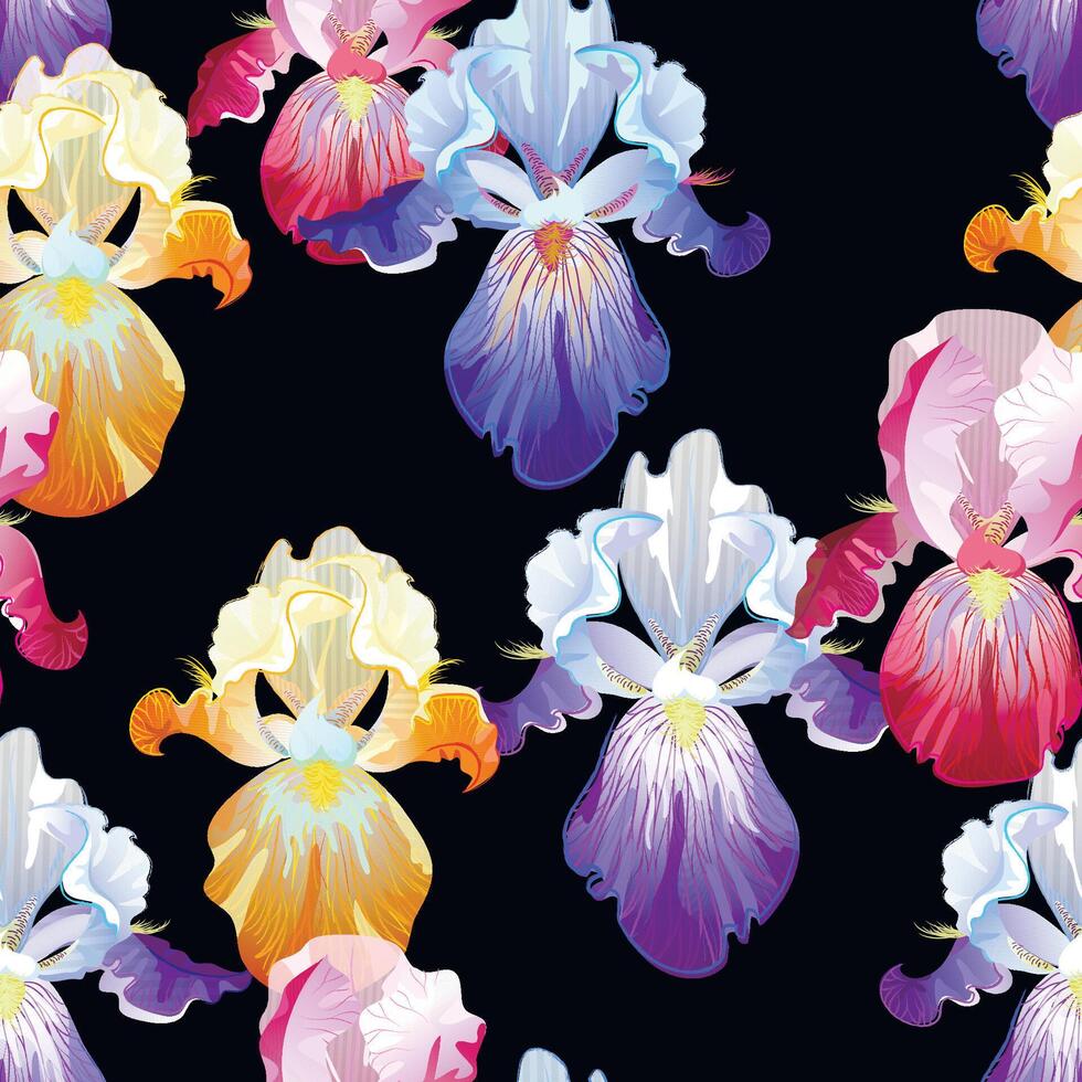 Seamless pattern with violet,orange and vinous Iris flowers on the black background vector