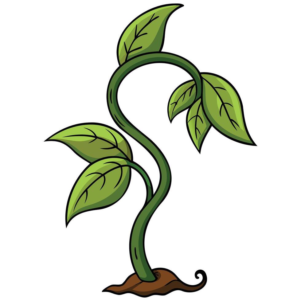 Sprawling Flora Designs vector