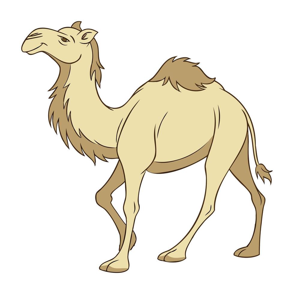 Desert Ship Graphics vector