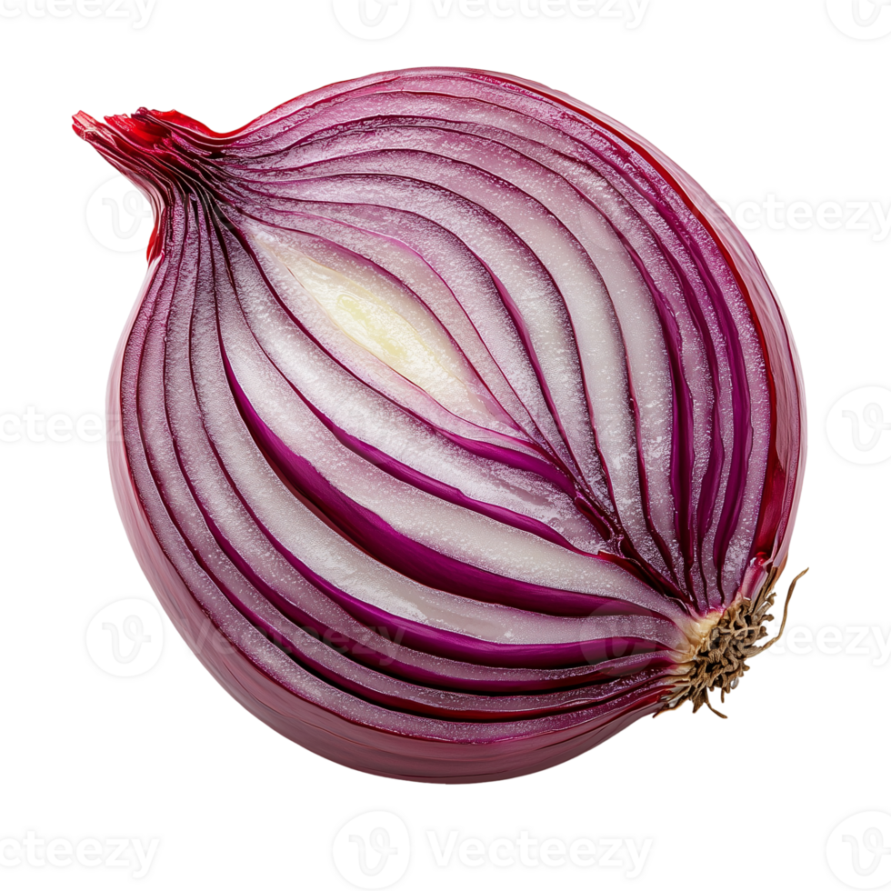 Fresh red onion cut in half close up for culinary and food preparation isolated on transparent background png