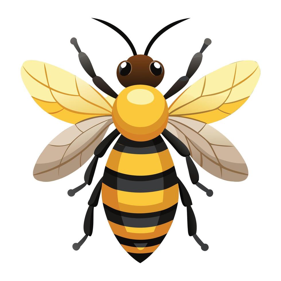 Essential Pollinator Art vector