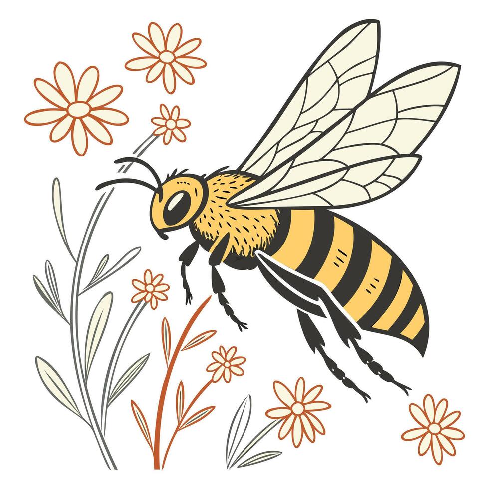 Winged Insect Illustrations vector