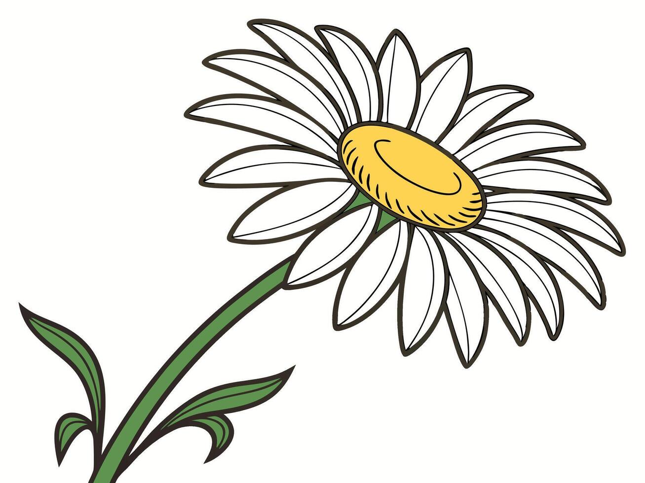 Simple Daisy Illustration with White Petals and Yellow Center on White Background vector