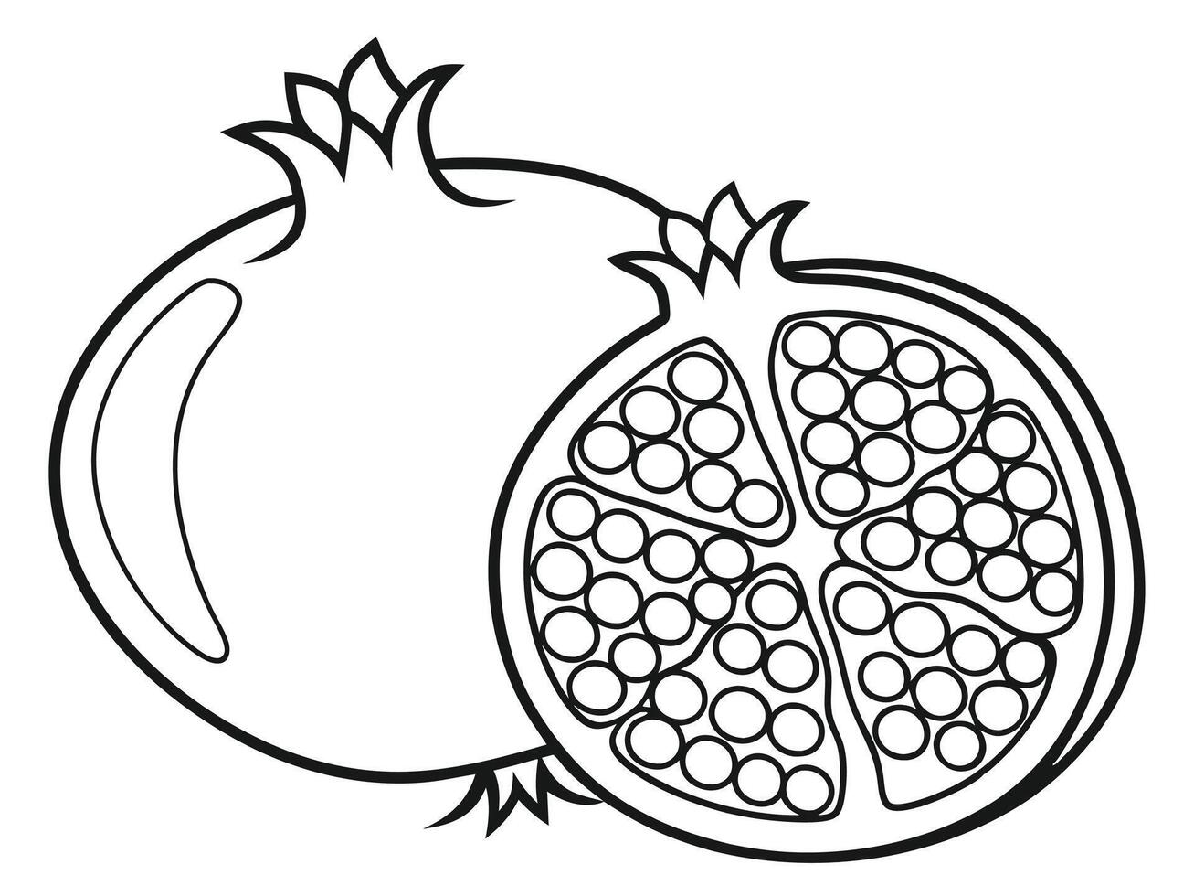 Pomegranate Outline Whole Fruit and Half with Seeds Black and White vector