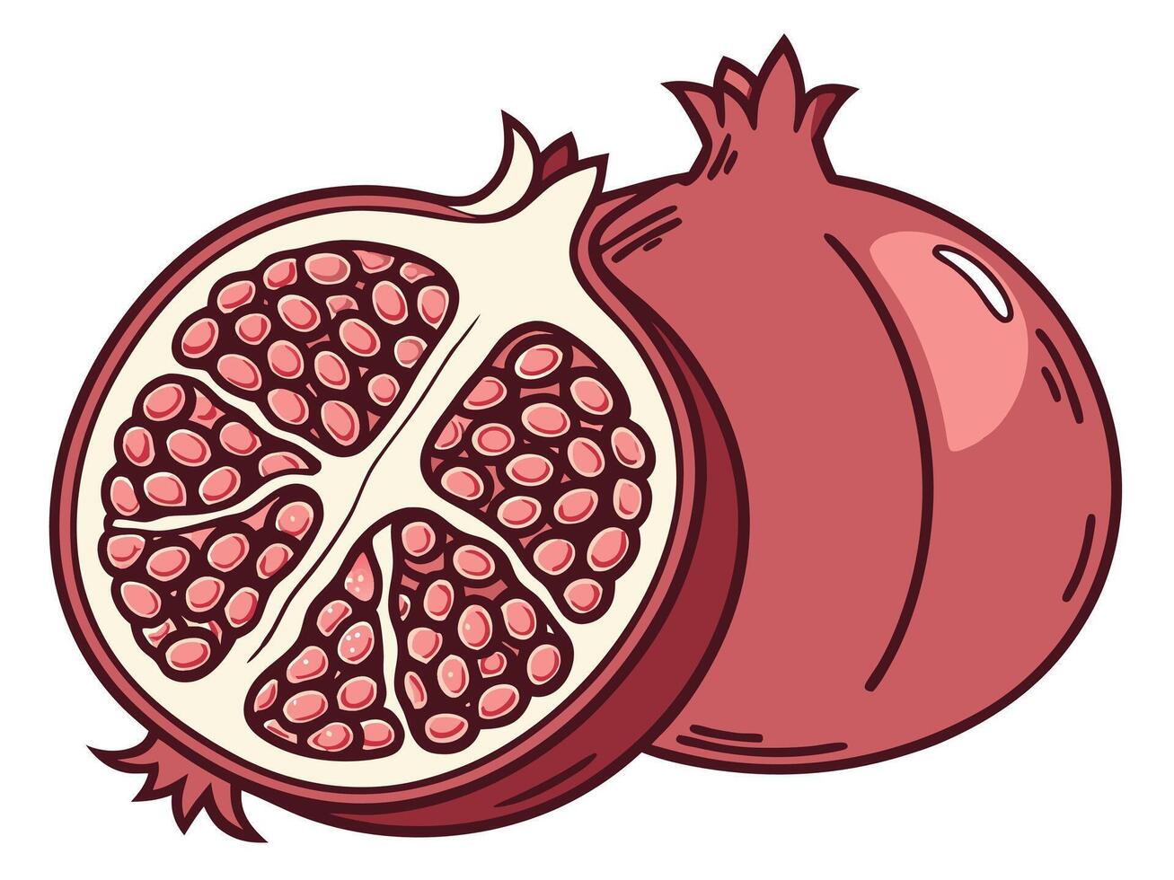 Illustration of a Whole and a Halved Pomegranate Fruit on a White Background vector
