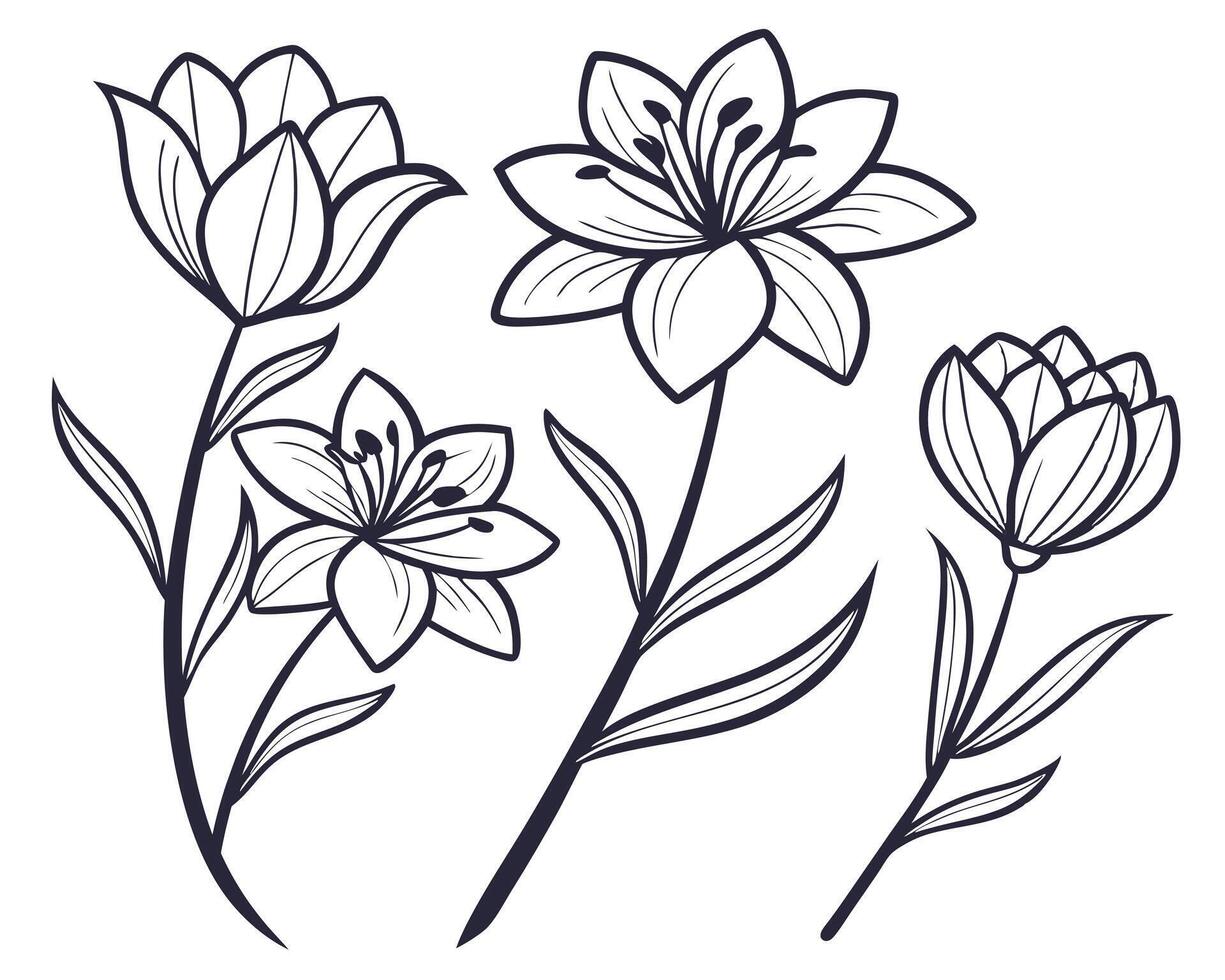 Elegant Floral Line Art Illustration of Lilies and Tulips on White vector