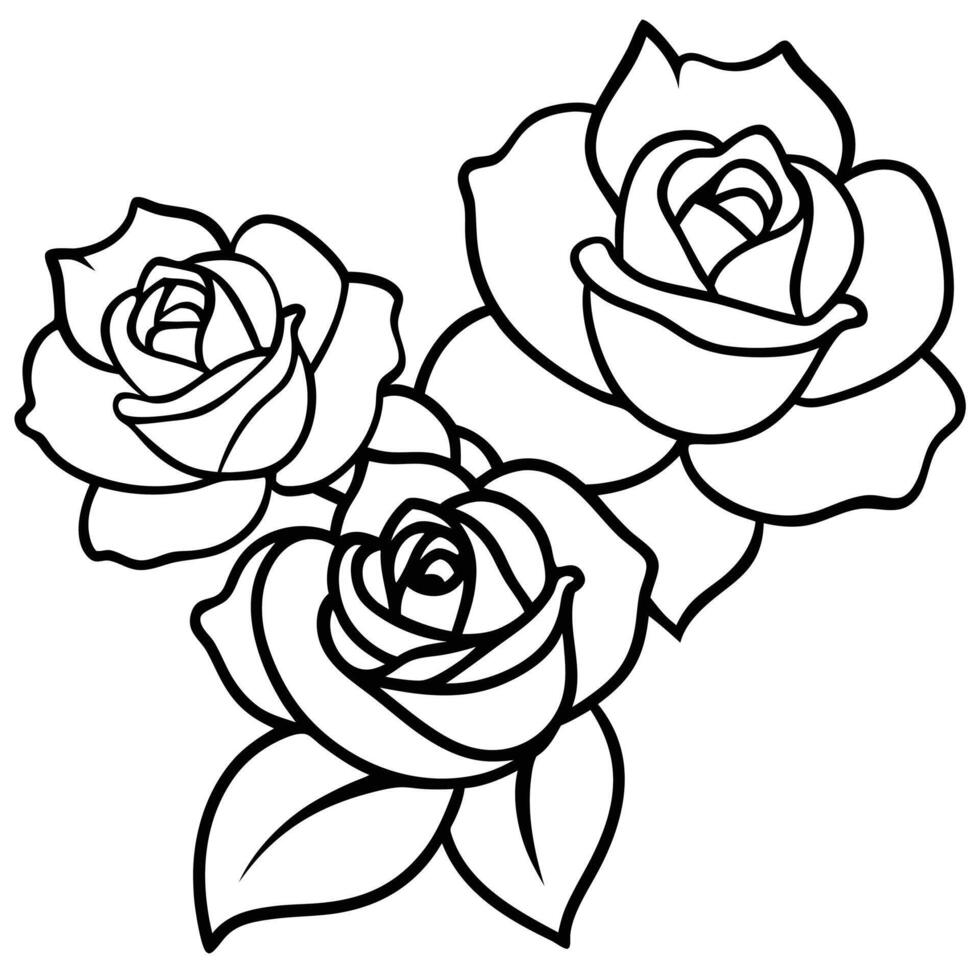 Elegant Rose Outline Drawing Three Blooming Flowers with Leaves vector