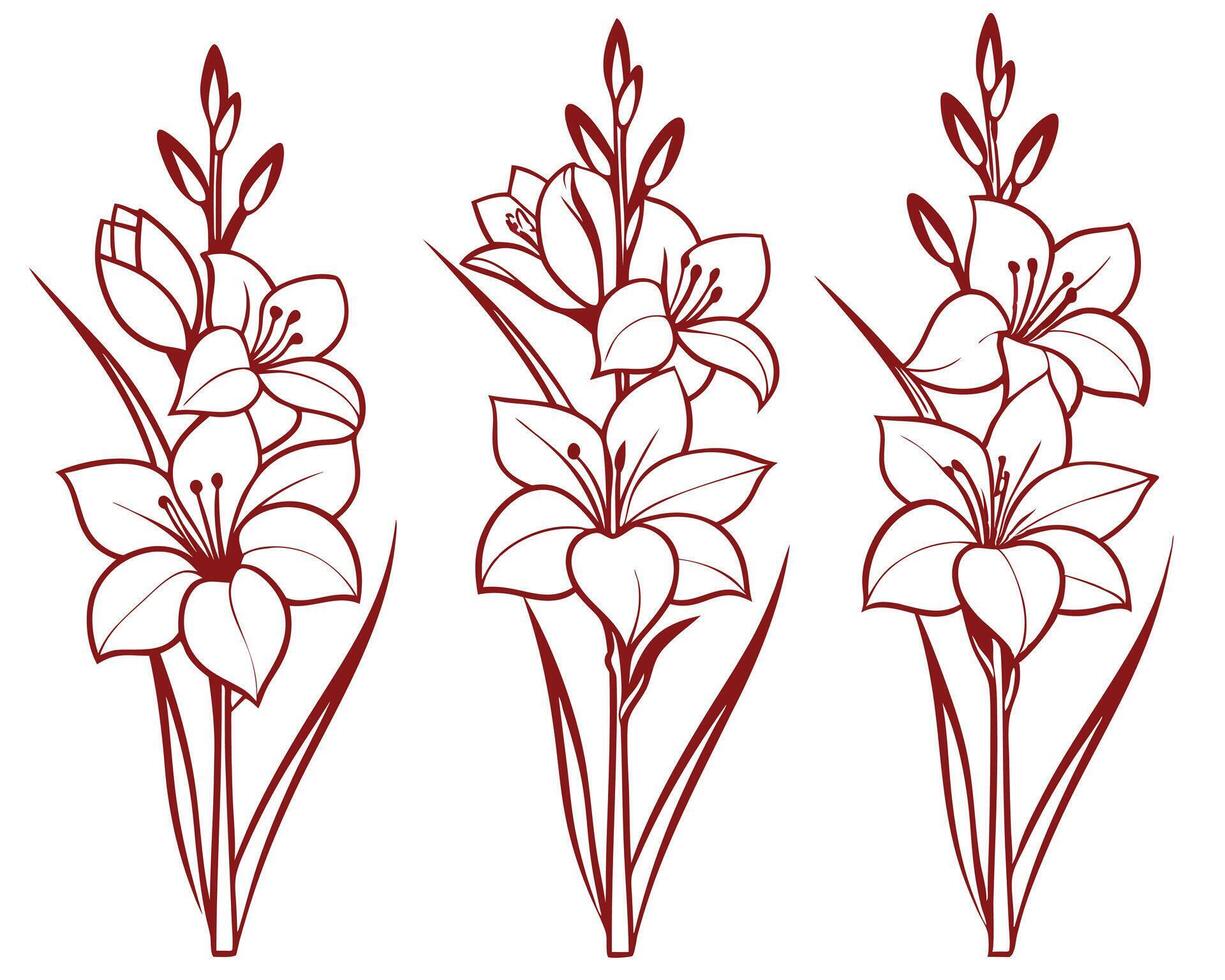Elegant Floral Line Art Three Burgundy Lily Arrangements on White Background vector