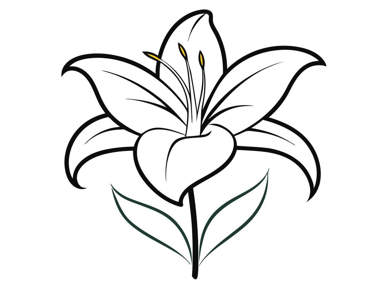 Elegant White Lily Illustration with Bold Black Outlines and Delicate Green Leaves vector