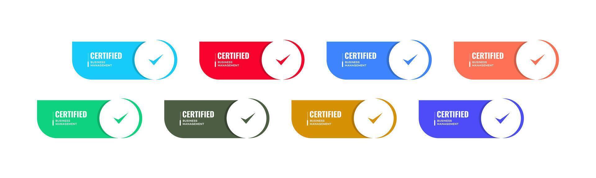 Eight Colorful Certified Business Management Checkmarks vector