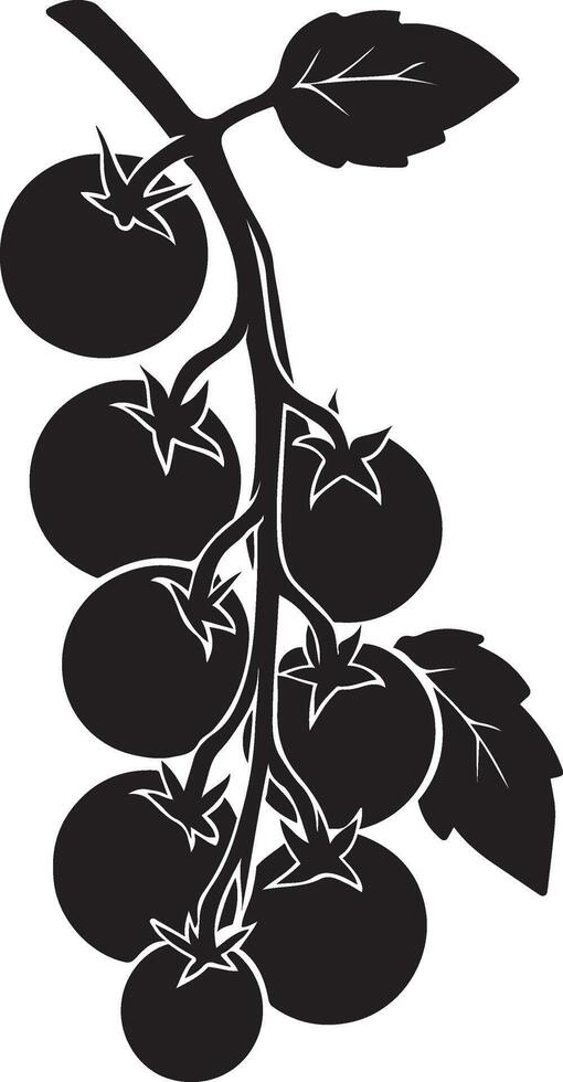 Tomato cluster silhouette on vine design, Fresh produce minimal black and white art vector