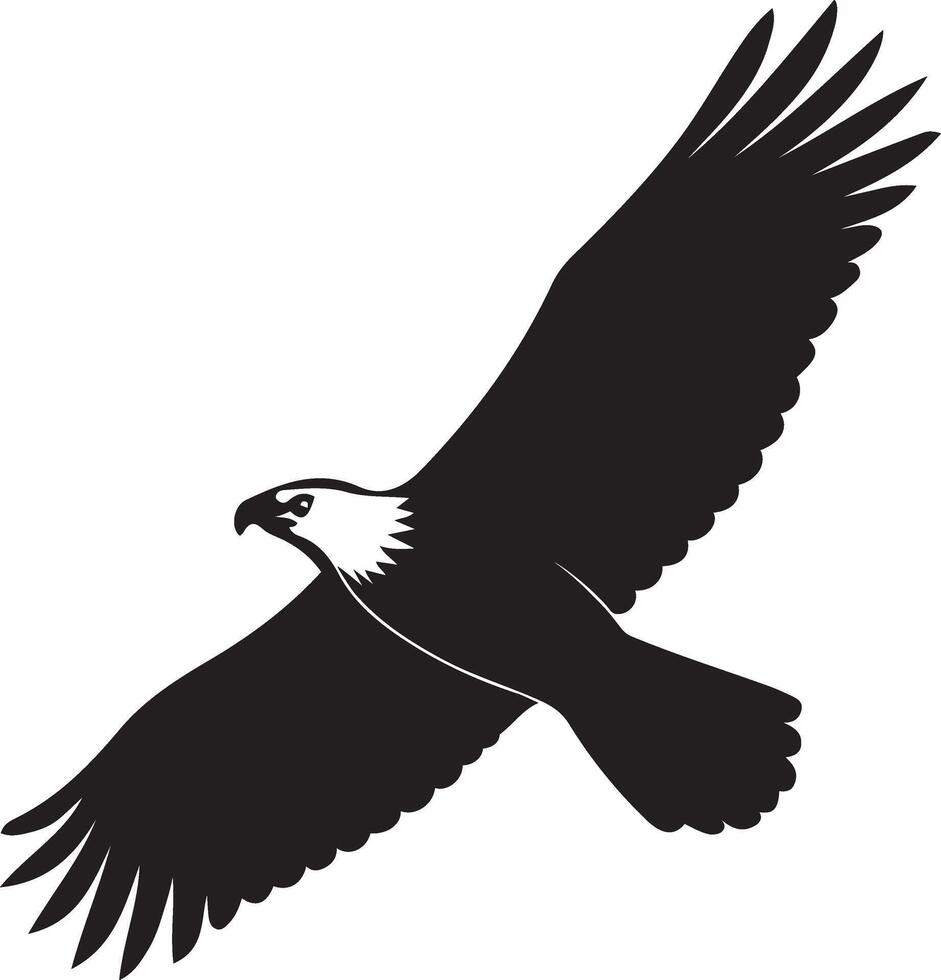 Eagle in flight powerful silhouette style, Soaring eagle clean black and white drawing vector