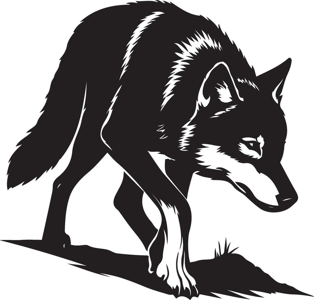 Stalking wolf silhouette black white design, Predatory animal intense pose vector